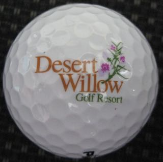 Desert Willow