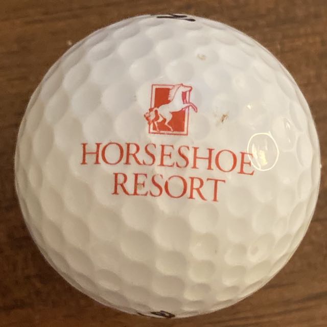 Horseshoe Resort  