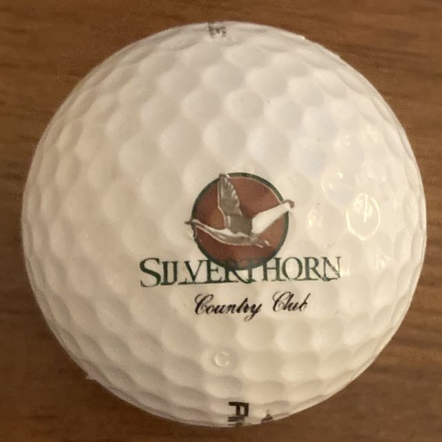 Silver Horn CC