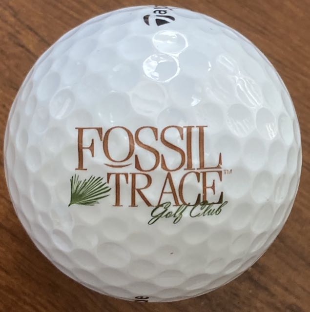 Fossil Trace