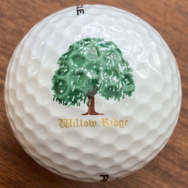 Willow Ridge  