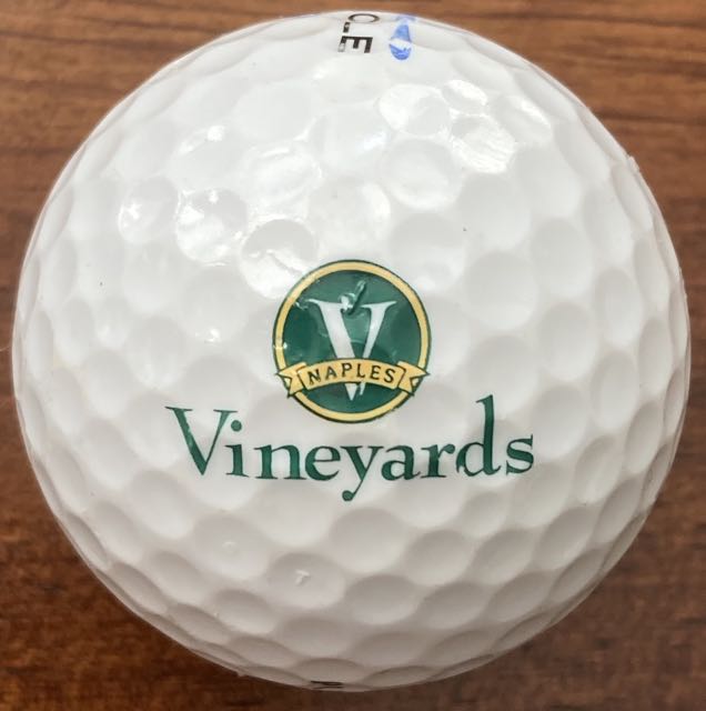 Vineyards, Naples, FL