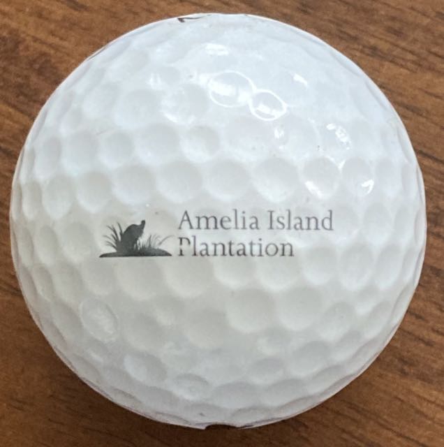 Amelia Island Plantation