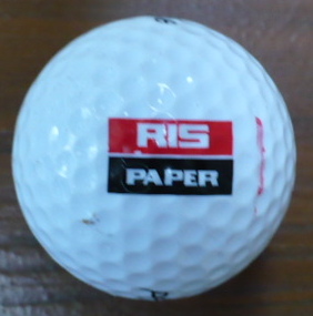 RIS Paper