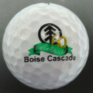 Boise Cascade