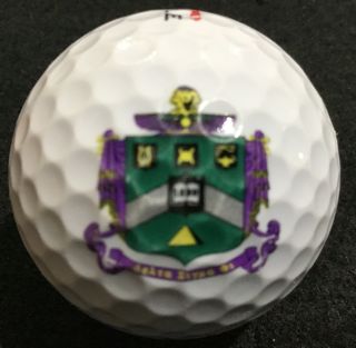 Delta Sigma Phi Fraternity