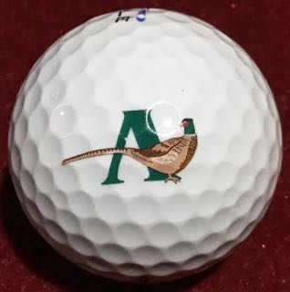 Amarillo CC, Amarillo, TX