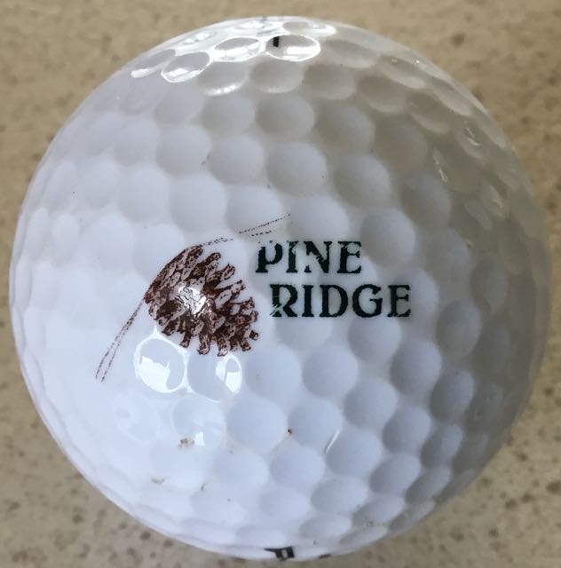 Pine Ridge CC, Beverly Hills, FL