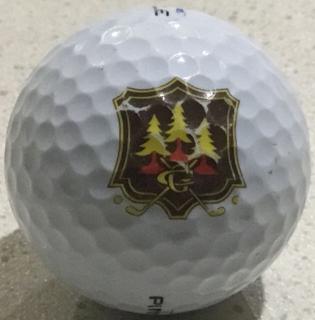 Grange GC, Rathfarnham, Ireland