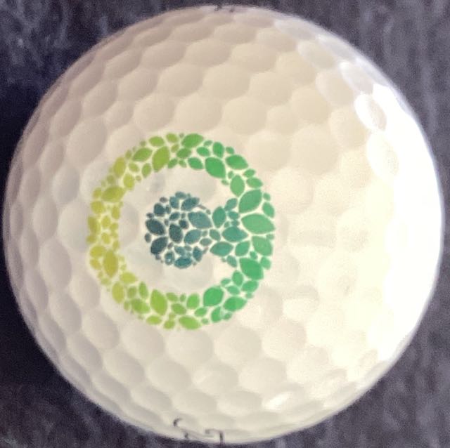 Costa Asset Management