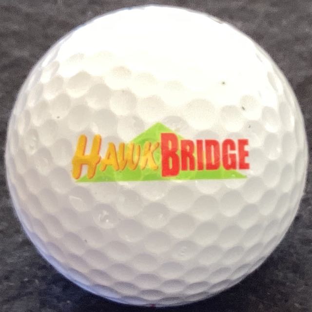 Hawkbridge Systems Consultants