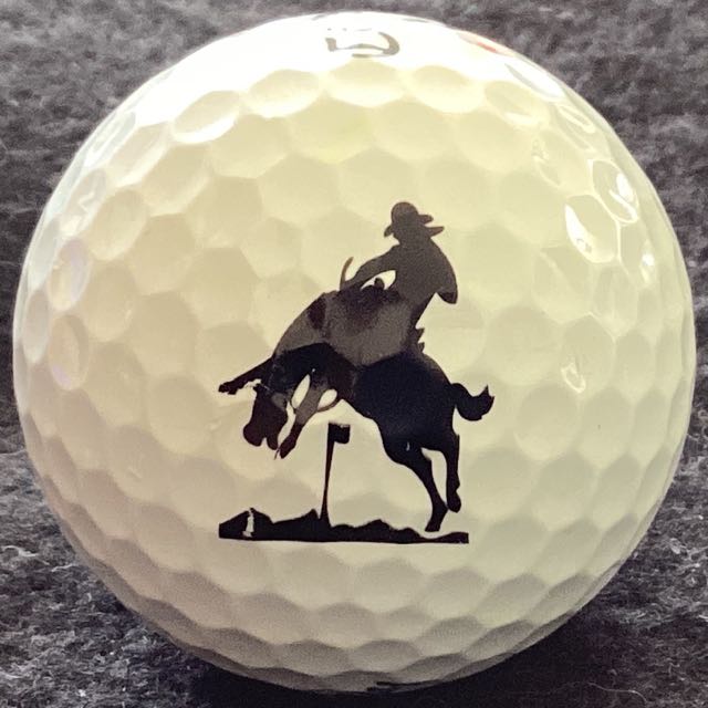 Tournament:The Rim GC vs Chaparral Pines GC