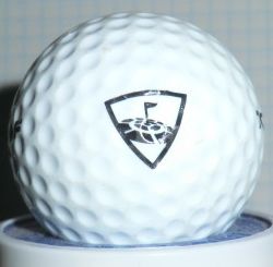 Top Golf Entertainment