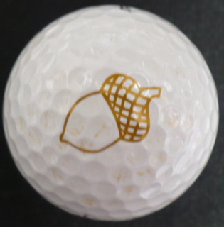 Oakbourne CC, Lafayette, LA