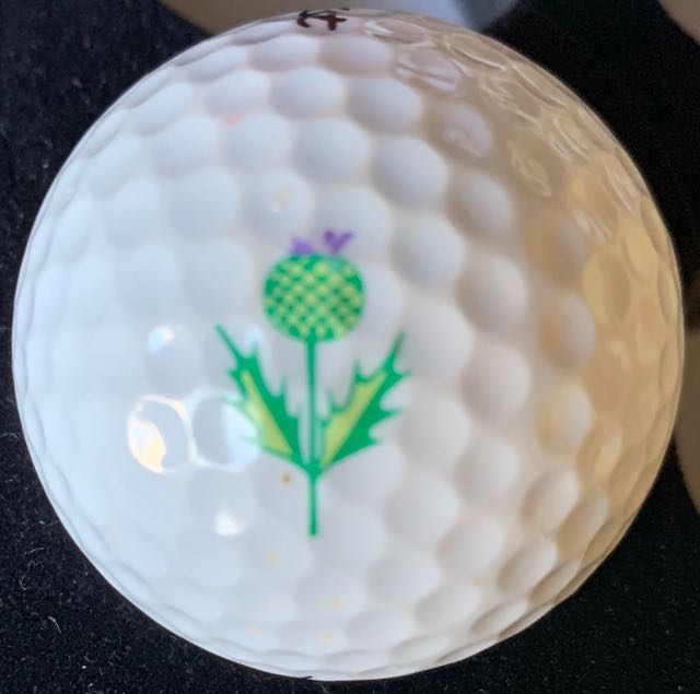 Rochester CC, Rochester, NY