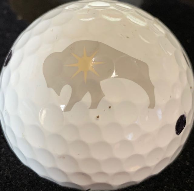 Davidson Investment Advisors