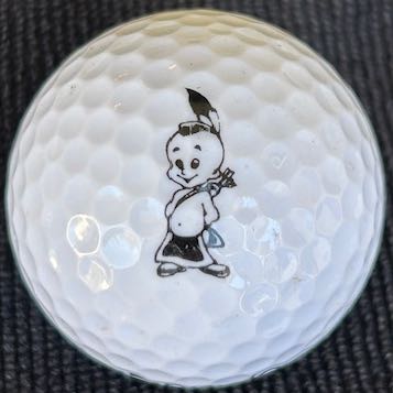 Mohawk Carpets old logo