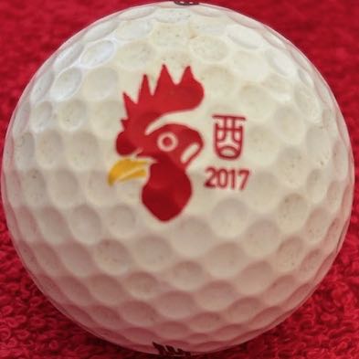 2017 Year of the Rooster