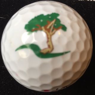 Bent Pine GC, Vero Beach, FL