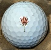 Colorado GC, Parker, CO