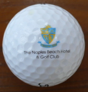 Naples Beach Hotel