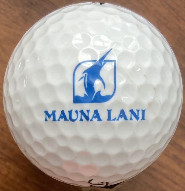 Mauna Lani