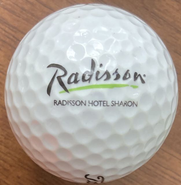 Radisson Sharon