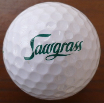 Sawgrass